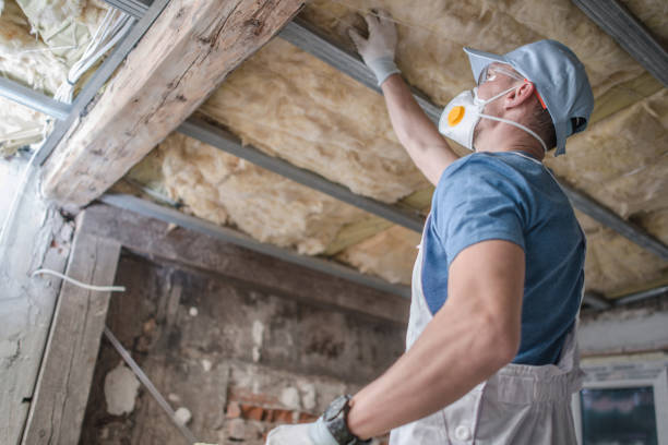 Best Blown-in Insulation  in Philipsburg, MT