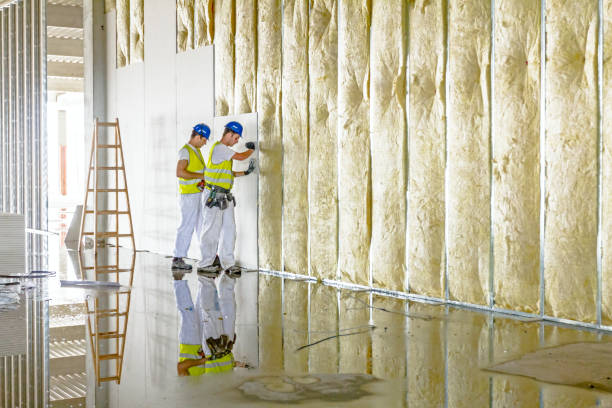 Best Insulation Repair Services  in Philipsburg, MT